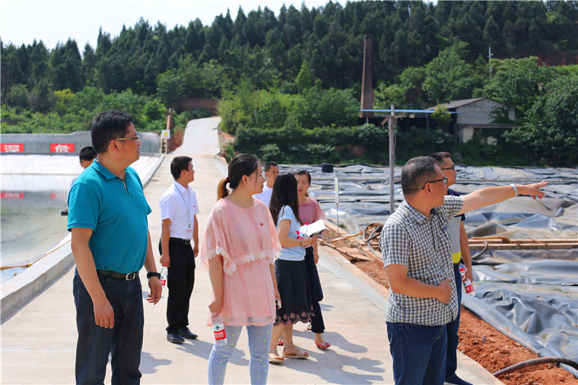 集團(tuán)第一檢查組檢查杰陽(yáng)排水公司、固廢處置公司安全防汛和環(huán)保達(dá)標(biāo)各項(xiàng)工作3_副本